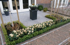 tuin terras